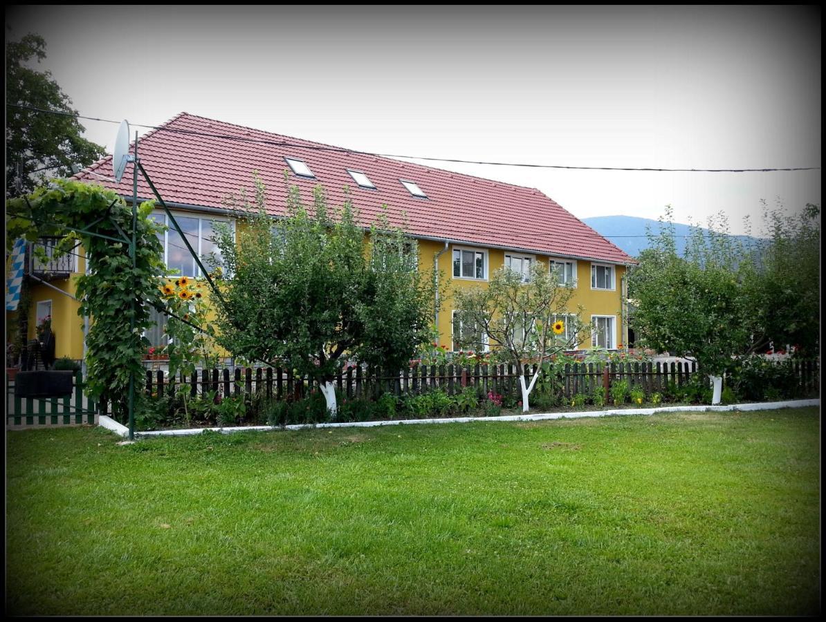 Hotel Cazare La Troita Codlea Exterior foto