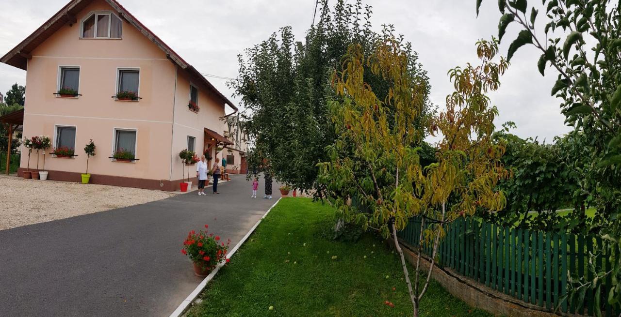 Hotel Cazare La Troita Codlea Exterior foto