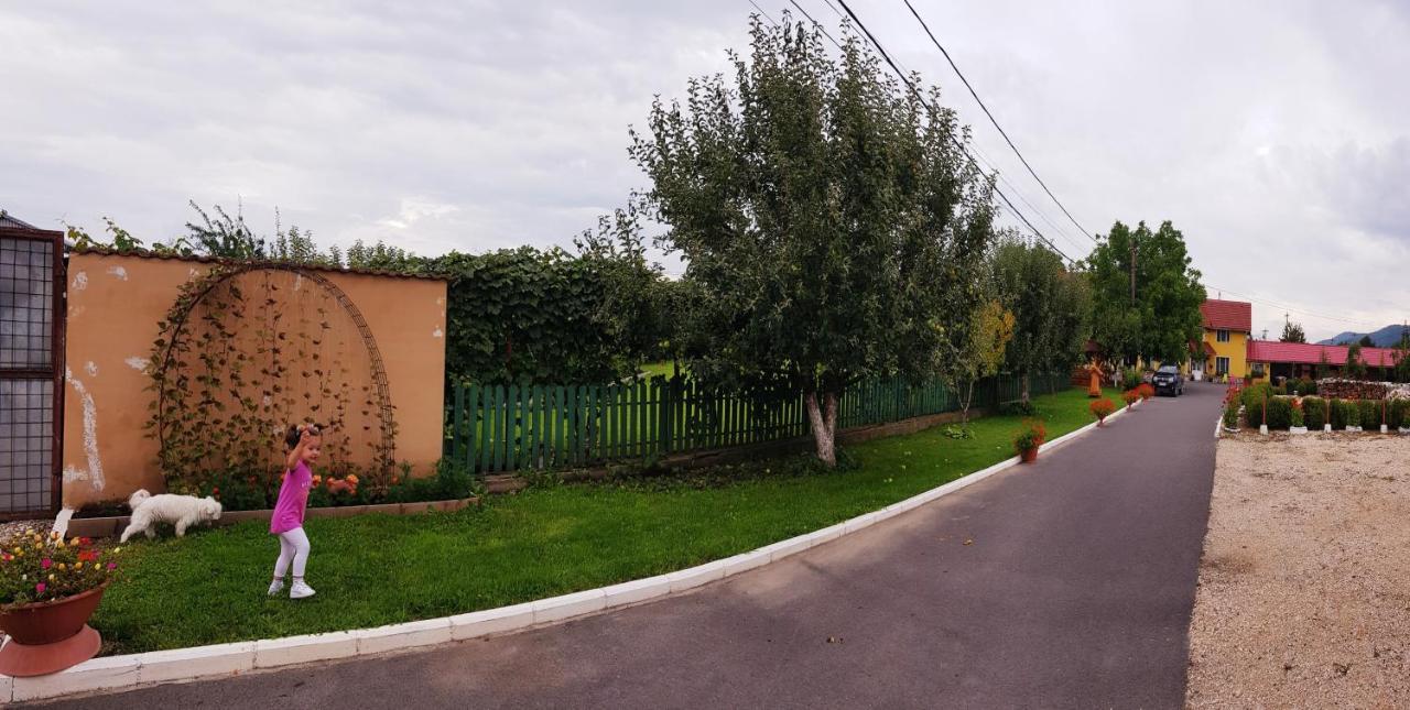 Hotel Cazare La Troita Codlea Exterior foto
